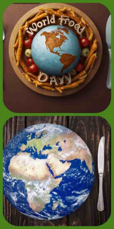 Oneworldplate .com : Where Global Flavours Connect Humans