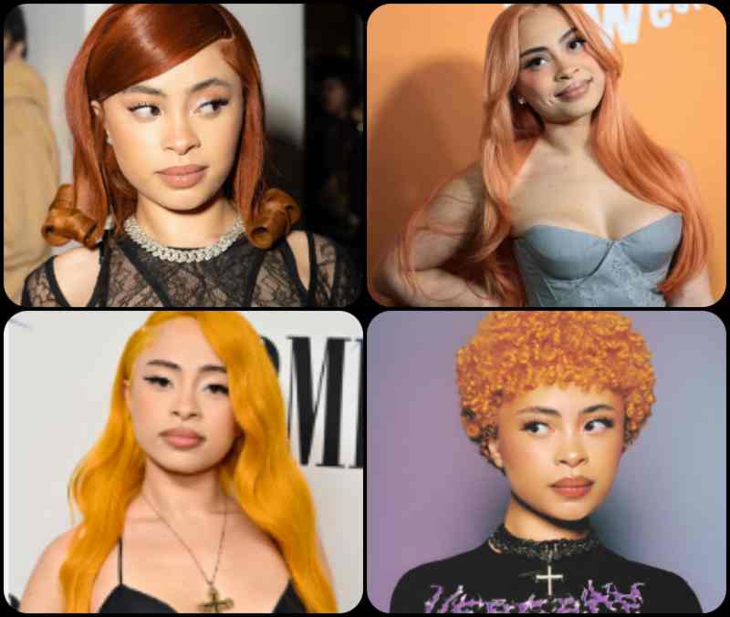 Ice Spice Age, Net Worth, Family, Facts, Journey of Power, Passion, Fame & Ruled the Internet