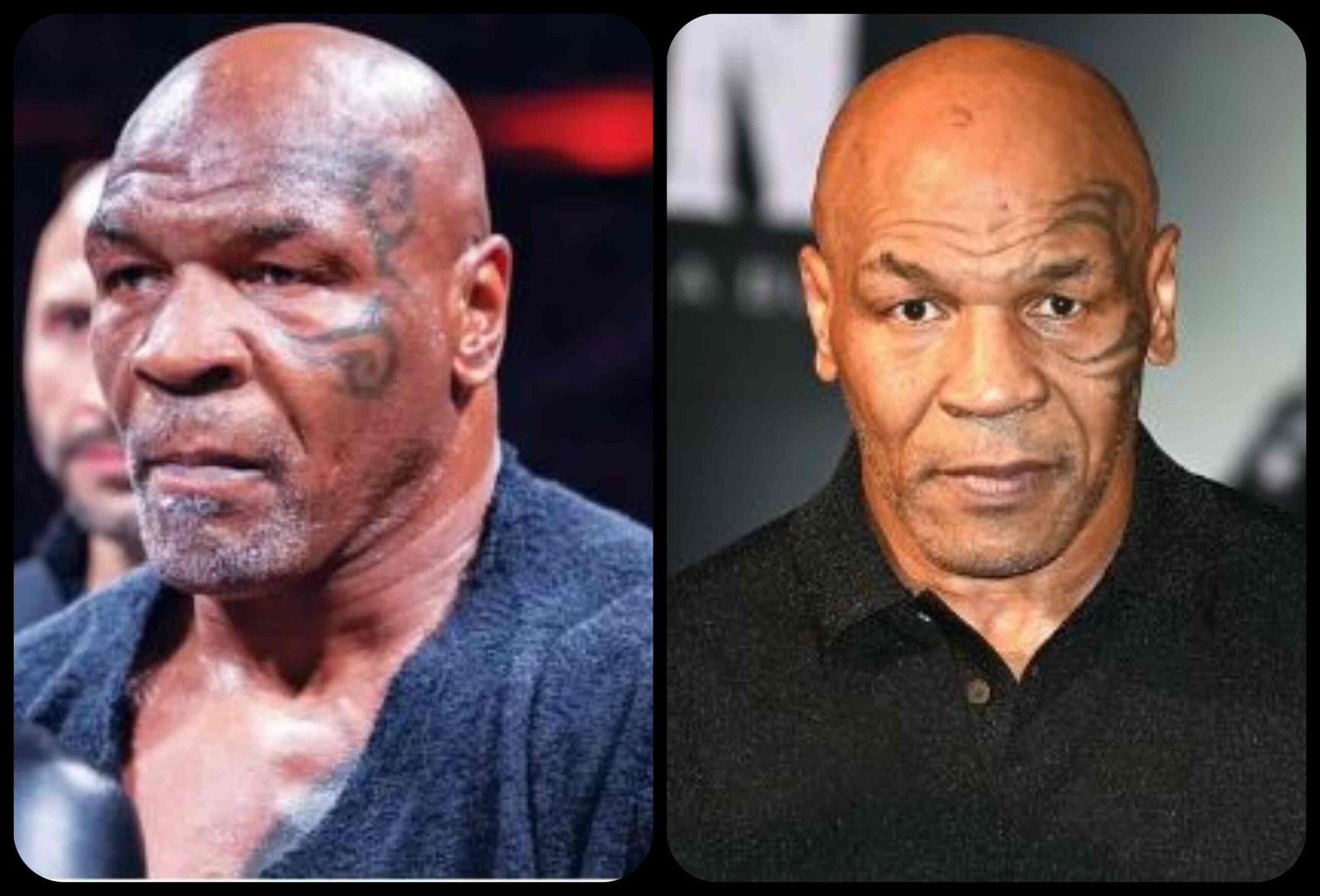 Mike Tyson Net Worth, Business, Family, Children, Career, Latest Updates